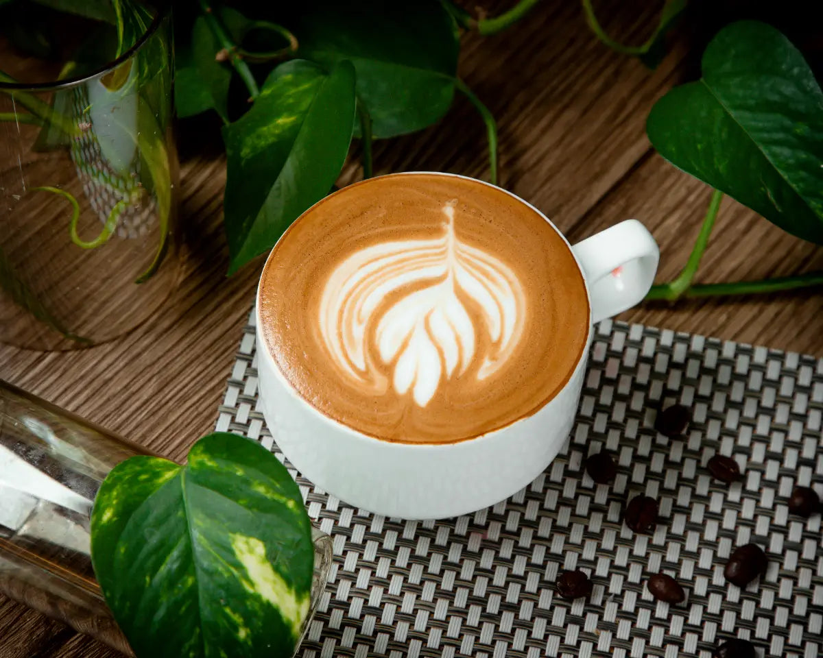 Mocha Nedir? Nasıl Yapılır?