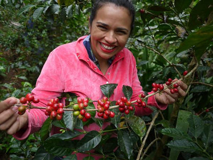 Honduran Caballero Confite