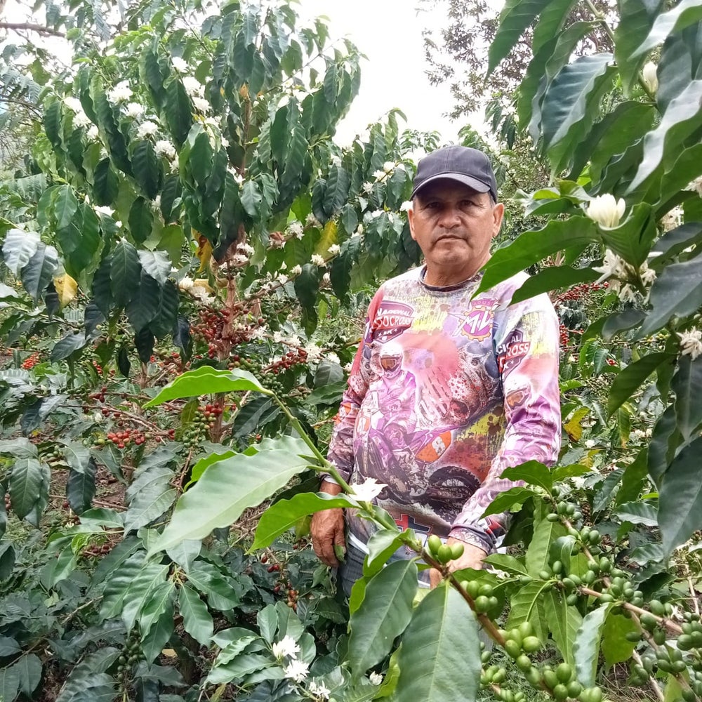 Colombia La Bonita